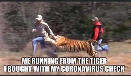 meme about tiger king netflix show
