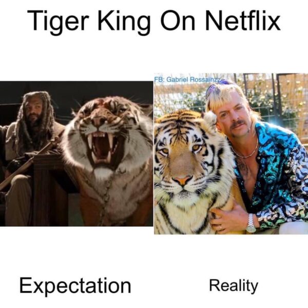 75 Of The Funniest Tiger King Memes I Could Find On The Innanet